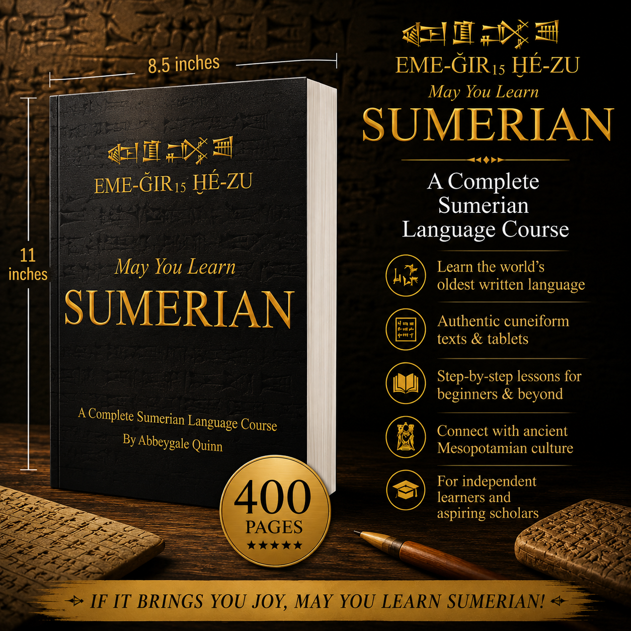 May You Learn Sumerian: A Complete Sumerian Language Course (Textbook)